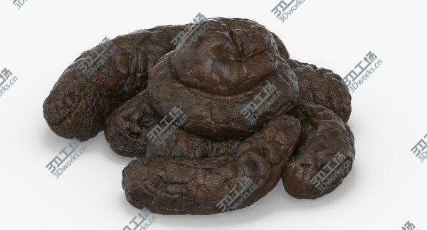 images/goods_img/20210312/Turd Crap 3D model/3.jpg